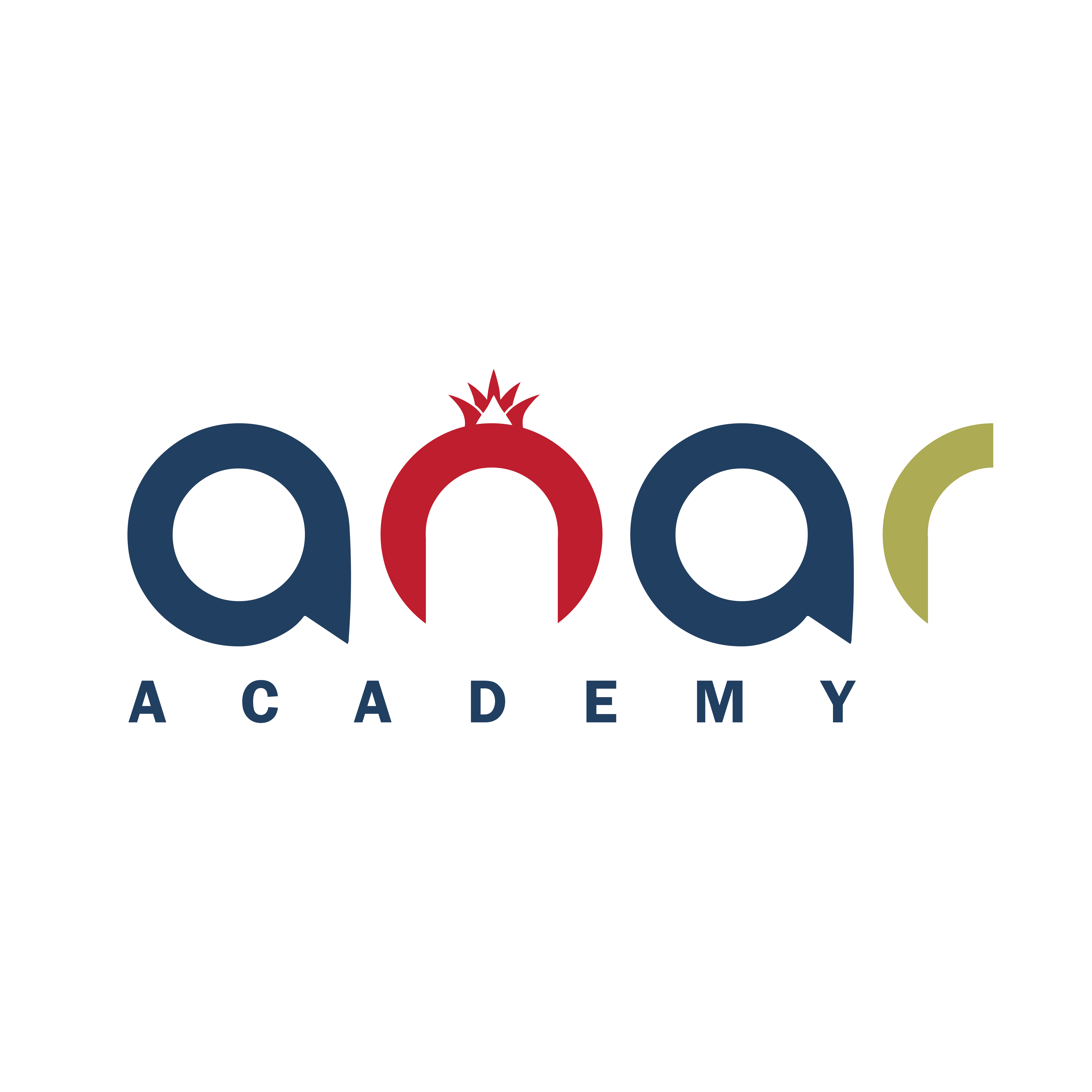 Anar Academy e.V. logo